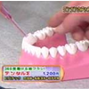 関西テレビ「２時ドキッ！」でデンタルΣが紹介されました