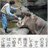 朝日新聞の朝刊に記事掲載されました