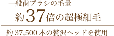 一般歯ブラシの毛量 約37倍の超極細毛　約37,500本のぜいたくヘッドを使用