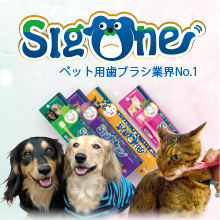 Sigone ペット用歯ブラシ業界No.1